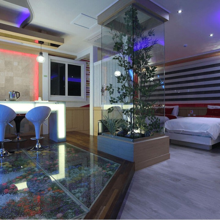 Suite Room